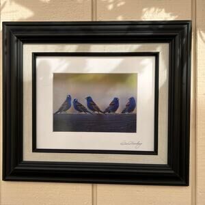 Bird Wildlife Photographed Signed and Framed